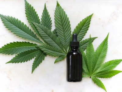 Be Wary About the Common Mistakes While Buying CBD Oil Through Online&nbsp;Sources